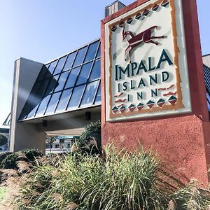 Impala Island Inn